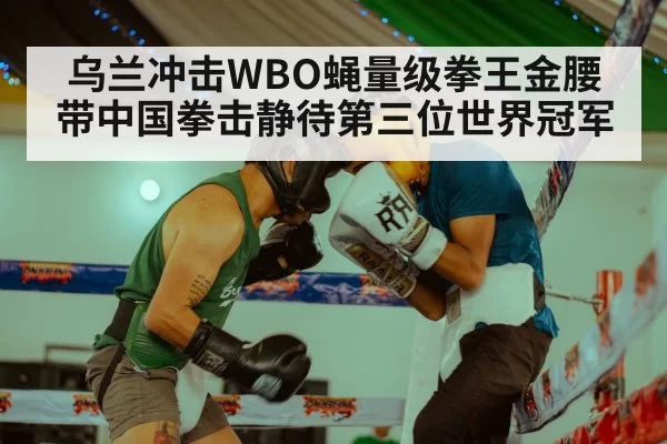 乌兰冲击WBO蝇量级拳王金腰带中国拳击静待第三位世界冠军