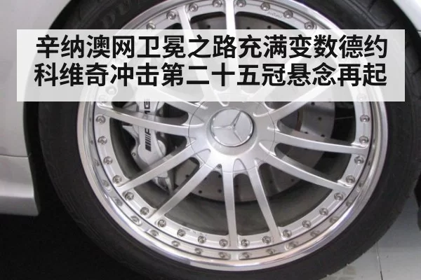 辛纳澳网卫冕之路充满变数德约科维奇冲击第二十五冠悬念再起